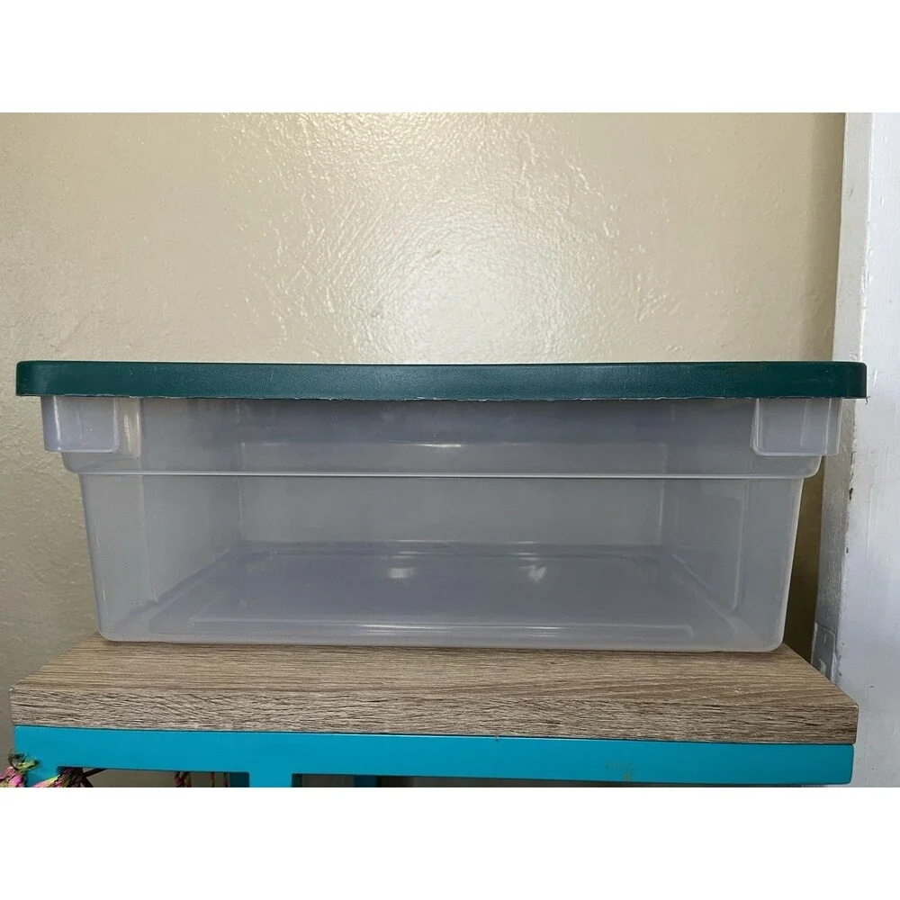 Vintage Rubbermaid Sheer Green Storage Box Container & Lid #0135 14x9x6
